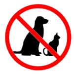 No pets allowed